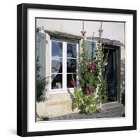 Typical Scene of Shuttered Windows and Hollyhocks, St. Martin, Ile de Re, Poitou-Charentes, France-Stuart Black-Framed Photographic Print