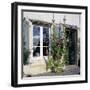 Typical Scene of Shuttered Windows and Hollyhocks, St. Martin, Ile de Re, Poitou-Charentes, France-Stuart Black-Framed Photographic Print