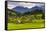 Typical Slovenian Landscape Between Lake Bled and Lake Bohinj-Matthew Williams-Ellis-Framed Stretched Canvas