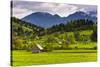 Typical Slovenian Landscape Between Lake Bled and Lake Bohinj-Matthew Williams-Ellis-Stretched Canvas