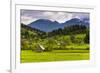 Typical Slovenian Landscape Between Lake Bled and Lake Bohinj-Matthew Williams-Ellis-Framed Photographic Print