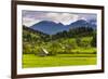 Typical Slovenian Landscape Between Lake Bled and Lake Bohinj-Matthew Williams-Ellis-Framed Photographic Print