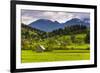 Typical Slovenian Landscape Between Lake Bled and Lake Bohinj-Matthew Williams-Ellis-Framed Photographic Print