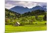 Typical Slovenian Landscape Between Lake Bled and Lake Bohinj-Matthew Williams-Ellis-Mounted Photographic Print