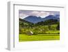 Typical Slovenian Landscape Between Lake Bled and Lake Bohinj-Matthew Williams-Ellis-Framed Photographic Print