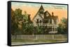 Typical Southern Home, Houston, Texas-null-Framed Stretched Canvas