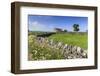 Typical Spring Landscape of Country Lane, Dry Stone Walls, Tree and Barn, May, Litton-Eleanor Scriven-Framed Photographic Print