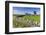 Typical Spring Landscape of Country Lane, Dry Stone Walls, Tree and Barn, May, Litton-Eleanor Scriven-Framed Photographic Print