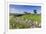 Typical Spring Landscape of Country Lane, Dry Stone Walls, Tree and Barn, May, Litton-Eleanor Scriven-Framed Photographic Print