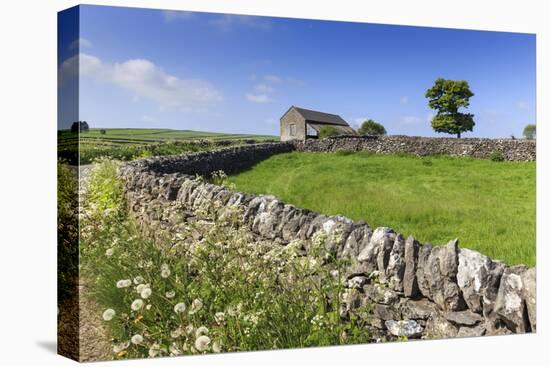 Typical Spring Landscape of Country Lane, Dry Stone Walls, Tree and Barn, May, Litton-Eleanor Scriven-Stretched Canvas