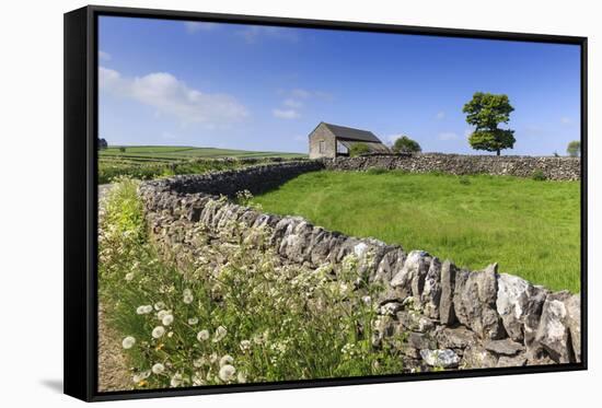 Typical Spring Landscape of Country Lane, Dry Stone Walls, Tree and Barn, May, Litton-Eleanor Scriven-Framed Stretched Canvas