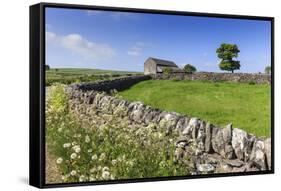 Typical Spring Landscape of Country Lane, Dry Stone Walls, Tree and Barn, May, Litton-Eleanor Scriven-Framed Stretched Canvas