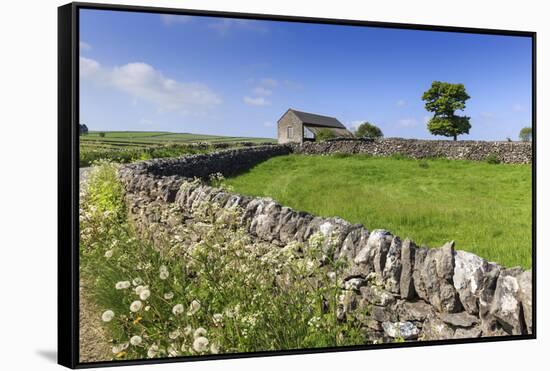 Typical Spring Landscape of Country Lane, Dry Stone Walls, Tree and Barn, May, Litton-Eleanor Scriven-Framed Stretched Canvas