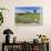 Typical Spring Landscape of Country Lane, Dry Stone Walls, Tree and Barn, May, Litton-Eleanor Scriven-Framed Photographic Print displayed on a wall