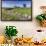 Typical Spring Landscape of Country Lane, Dry Stone Walls, Tree and Barn, May, Litton-Eleanor Scriven-Framed Photographic Print displayed on a wall