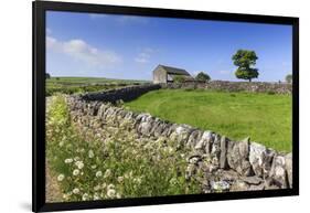 Typical Spring Landscape of Country Lane, Dry Stone Walls, Tree and Barn, May, Litton-Eleanor Scriven-Framed Photographic Print