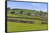 Typical Spring Landscape of Village, Cattle, Fields, Dry Stone Walls and Hills, May-Eleanor Scriven-Framed Stretched Canvas