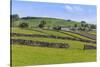 Typical Spring Landscape of Village, Cattle, Fields, Dry Stone Walls and Hills, May-Eleanor Scriven-Stretched Canvas