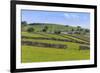 Typical Spring Landscape of Village, Cattle, Fields, Dry Stone Walls and Hills, May-Eleanor Scriven-Framed Photographic Print
