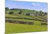 Typical Spring Landscape of Village, Cattle, Fields, Dry Stone Walls and Hills, May-Eleanor Scriven-Mounted Photographic Print