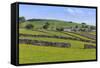 Typical Spring Landscape of Village, Cattle, Fields, Dry Stone Walls and Hills, May-Eleanor Scriven-Framed Stretched Canvas