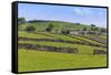 Typical Spring Landscape of Village, Cattle, Fields, Dry Stone Walls and Hills, May-Eleanor Scriven-Framed Stretched Canvas