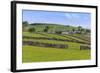 Typical Spring Landscape of Village, Cattle, Fields, Dry Stone Walls and Hills, May-Eleanor Scriven-Framed Photographic Print