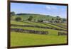 Typical Spring Landscape of Village, Cattle, Fields, Dry Stone Walls and Hills, May-Eleanor Scriven-Framed Photographic Print