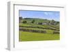 Typical Spring Landscape of Village, Cattle, Fields, Dry Stone Walls and Hills, May-Eleanor Scriven-Framed Photographic Print