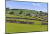 Typical Spring Landscape of Village, Cattle, Fields, Dry Stone Walls and Hills, May-Eleanor Scriven-Mounted Photographic Print