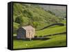 Typical Stone Barns Near Keld in Swaledale, Yorkshire Dales National Park, Yorkshire, England-John Woodworth-Framed Stretched Canvas