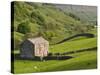 Typical Stone Barns Near Keld in Swaledale, Yorkshire Dales National Park, Yorkshire, England-John Woodworth-Stretched Canvas