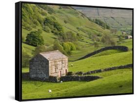 Typical Stone Barns Near Keld in Swaledale, Yorkshire Dales National Park, Yorkshire, England-John Woodworth-Framed Stretched Canvas