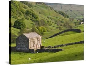 Typical Stone Barns Near Keld in Swaledale, Yorkshire Dales National Park, Yorkshire, England-John Woodworth-Stretched Canvas