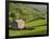 Typical Stone Barns Near Keld in Swaledale, Yorkshire Dales National Park, Yorkshire, England-John Woodworth-Framed Premium Photographic Print