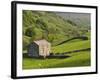 Typical Stone Barns Near Keld in Swaledale, Yorkshire Dales National Park, Yorkshire, England-John Woodworth-Framed Photographic Print