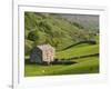 Typical Stone Barns Near Keld in Swaledale, Yorkshire Dales National Park, Yorkshire, England-John Woodworth-Framed Photographic Print