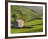 Typical Stone Barns Near Keld in Swaledale, Yorkshire Dales National Park, Yorkshire, England-John Woodworth-Framed Photographic Print