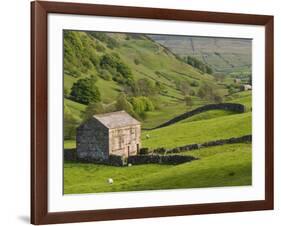 Typical Stone Barns Near Keld in Swaledale, Yorkshire Dales National Park, Yorkshire, England-John Woodworth-Framed Photographic Print