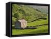 Typical Stone Barns Near Keld in Swaledale, Yorkshire Dales National Park, Yorkshire, England-John Woodworth-Framed Stretched Canvas