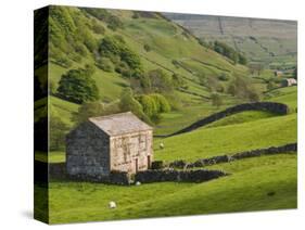 Typical Stone Barns Near Keld in Swaledale, Yorkshire Dales National Park, Yorkshire, England-John Woodworth-Stretched Canvas