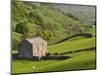 Typical Stone Barns Near Keld in Swaledale, Yorkshire Dales National Park, Yorkshire, England-John Woodworth-Mounted Photographic Print
