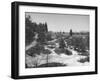 Typical Terrain on Pine Valley Golf Course, Where Masters Golf Tournament Is Being Held-null-Framed Photographic Print