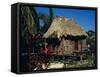 Typical Thatched Wooden Hut on the Island, Caye Caulker, Belize, Central America-Christopher Rennie-Framed Stretched Canvas