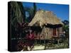 Typical Thatched Wooden Hut on the Island, Caye Caulker, Belize, Central America-Christopher Rennie-Stretched Canvas