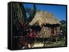 Typical Thatched Wooden Hut on the Island, Caye Caulker, Belize, Central America-Christopher Rennie-Framed Stretched Canvas