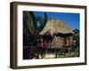 Typical Thatched Wooden Hut on the Island, Caye Caulker, Belize, Central America-Christopher Rennie-Framed Photographic Print