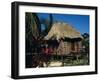 Typical Thatched Wooden Hut on the Island, Caye Caulker, Belize, Central America-Christopher Rennie-Framed Photographic Print