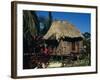 Typical Thatched Wooden Hut on the Island, Caye Caulker, Belize, Central America-Christopher Rennie-Framed Photographic Print