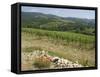 Typical Tuscan View around the Area of Lamole, Near Greve, Chianti, Tuscany, Italy, Europe-Robert Harding-Framed Stretched Canvas